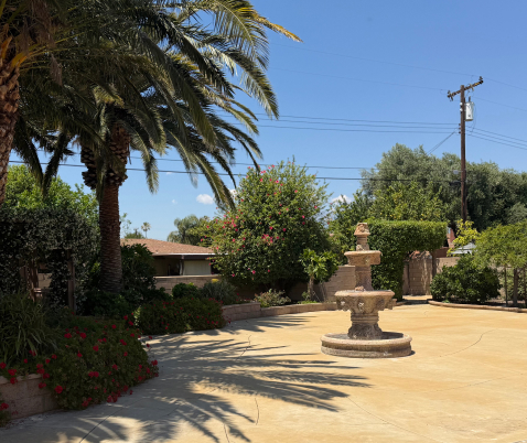 Courtyard and Garden Area with Decorative Fountain